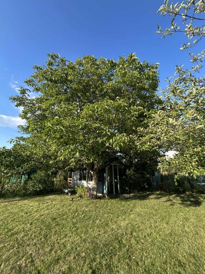 Działka rod Lublin. Zdjęcie 7