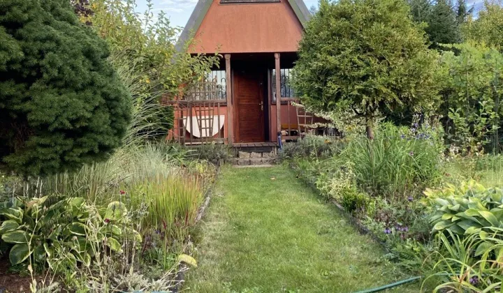 Działka rod Poznań Strzeszyn, ul. Koszalińska