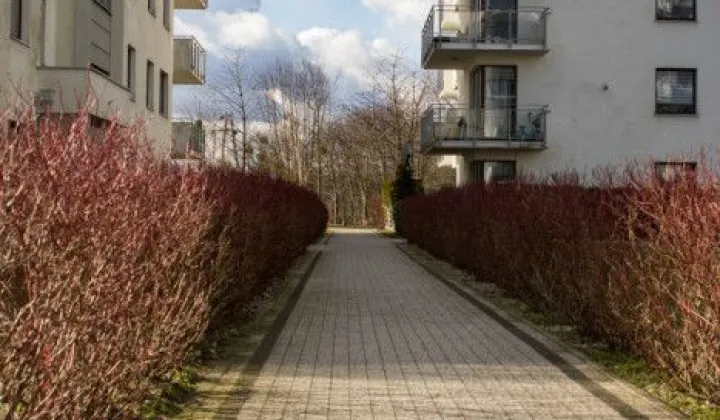 Mieszkanie 2-pokojowe Gdańsk Morena, ul. Czesława Miłosza