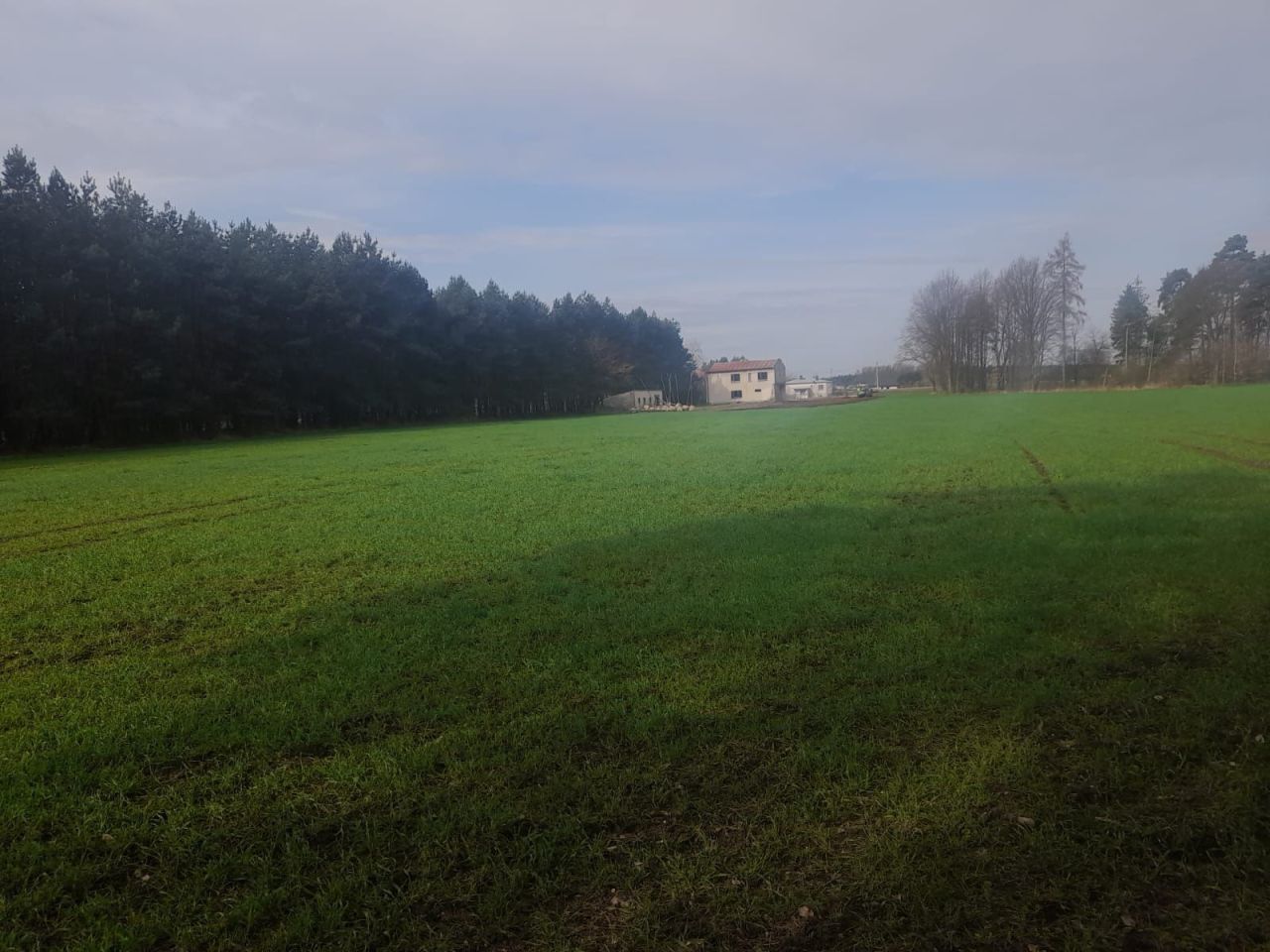 Działka inwestycyjna Szczepanek. Zdjęcie 4