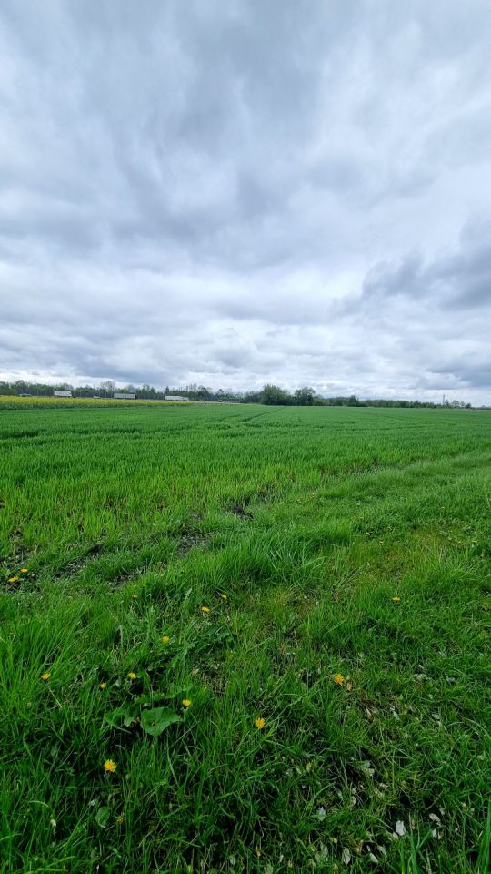 Działka rolna Żuków. Zdjęcie 19