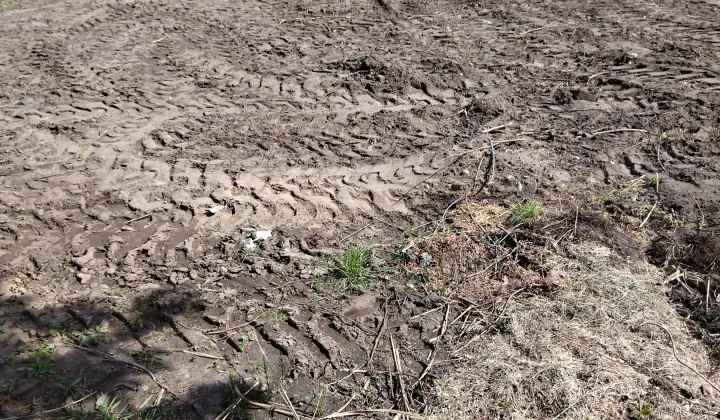 Działka budowlana Grodzisk Mazowiecki Centrum, ul. Morelowa