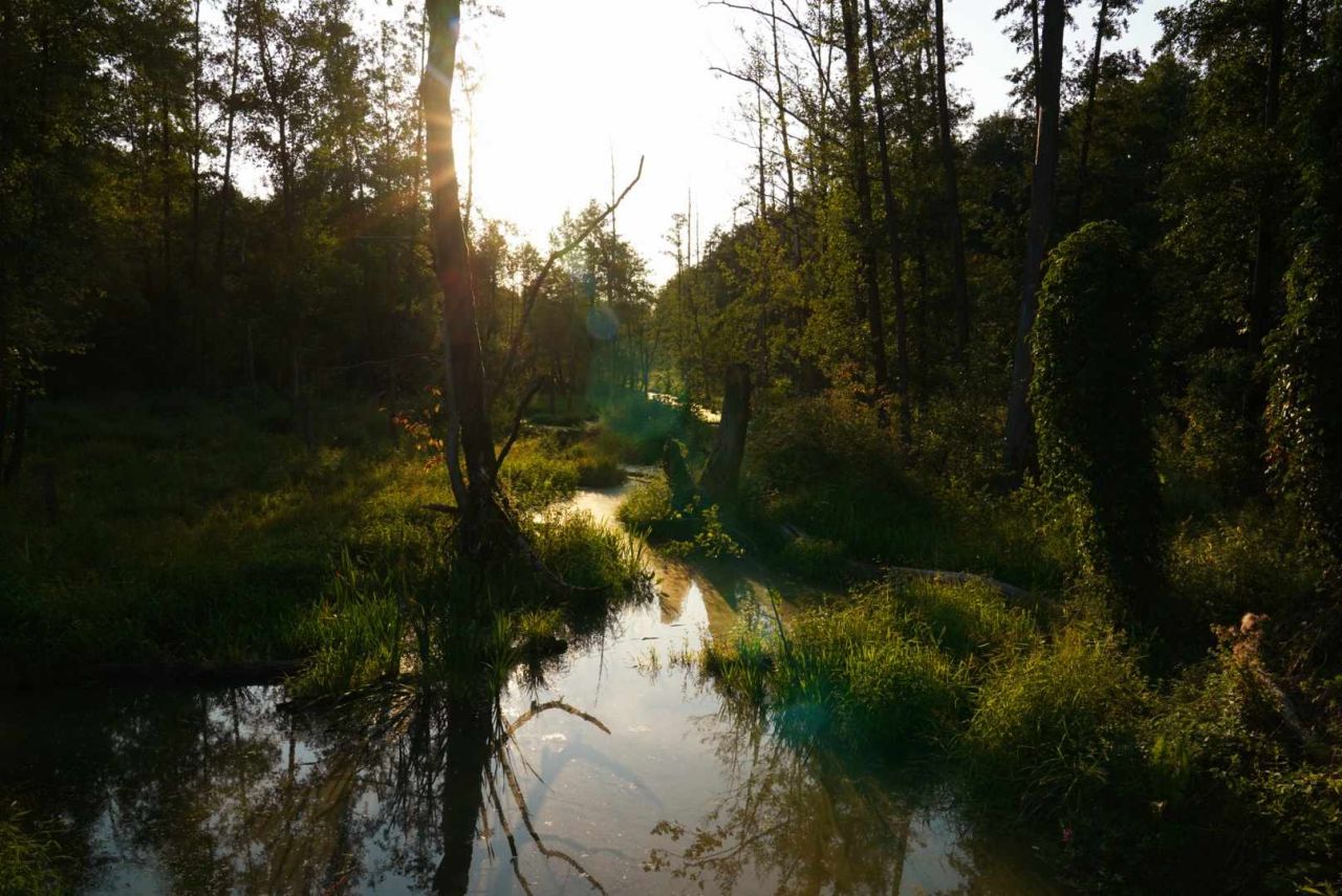 Działka budowlana Cychry. Zdjęcie 16