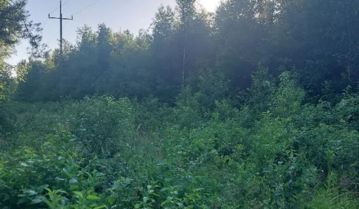 Działka inna Wola Ducka, brak