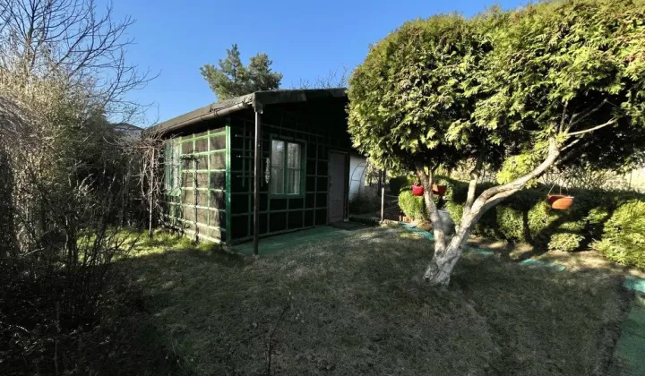 Działka rod Szczecin Golęcino, ul. Pokoju