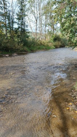 Działka rolna Brzuska. Zdjęcie 11