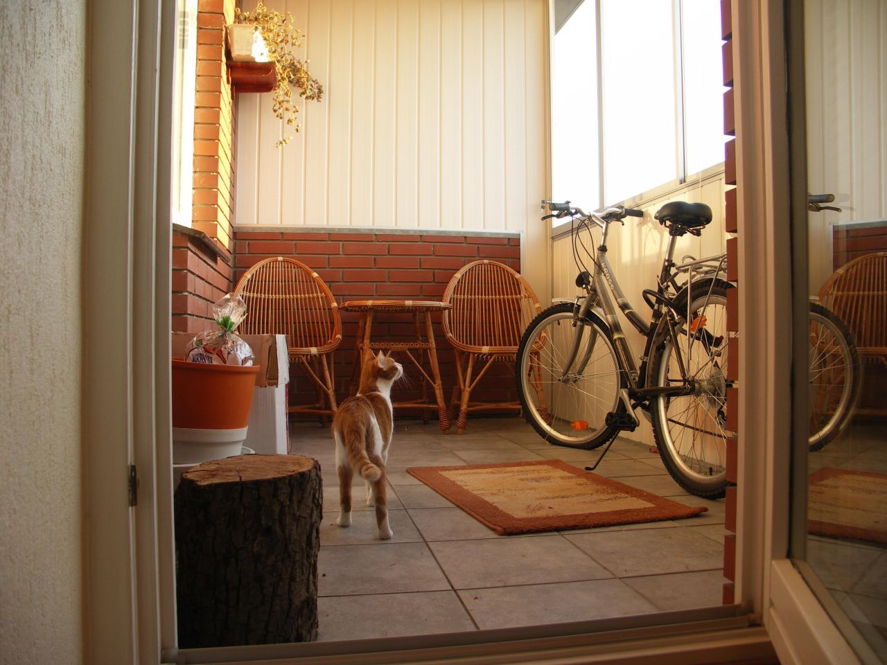 Mieszkanie 3-pokojowe Lublin Czechów Południowy, ul. Organowa. Zdjęcie 6