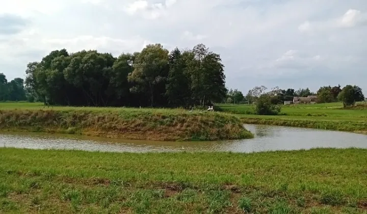 Działka rolna Giełczynek