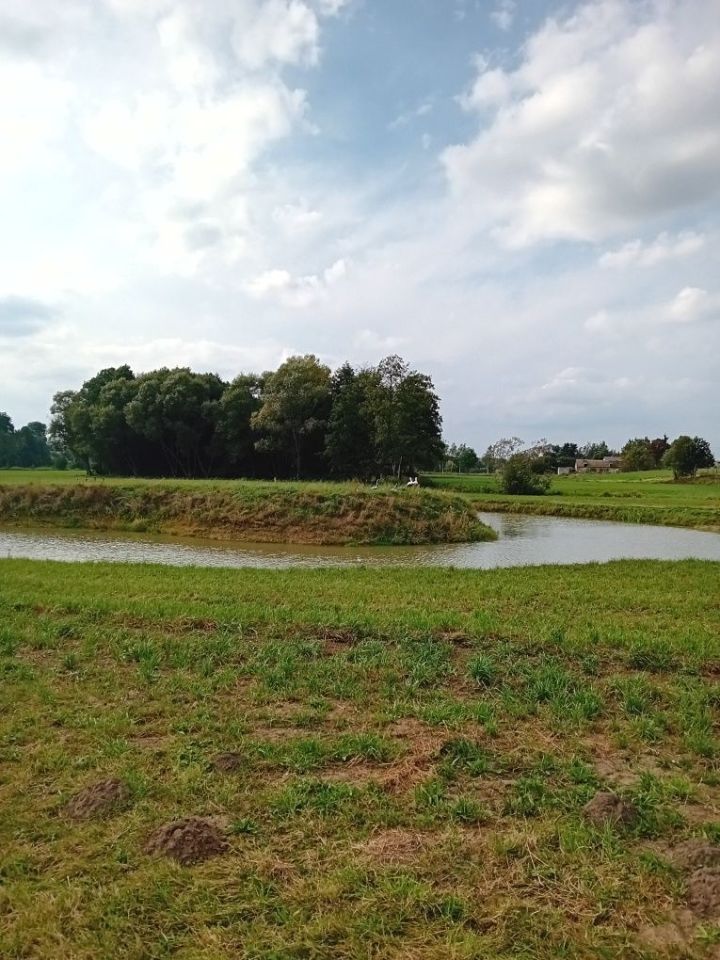 Działka rolna Giełczynek. Zdjęcie 1