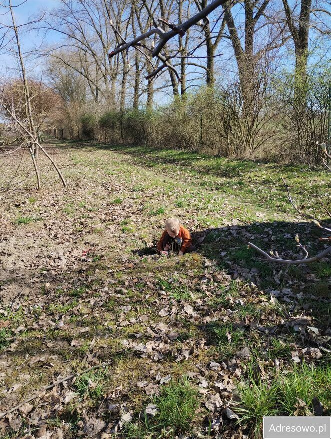 Działka budowlana Glinno. Zdjęcie 2