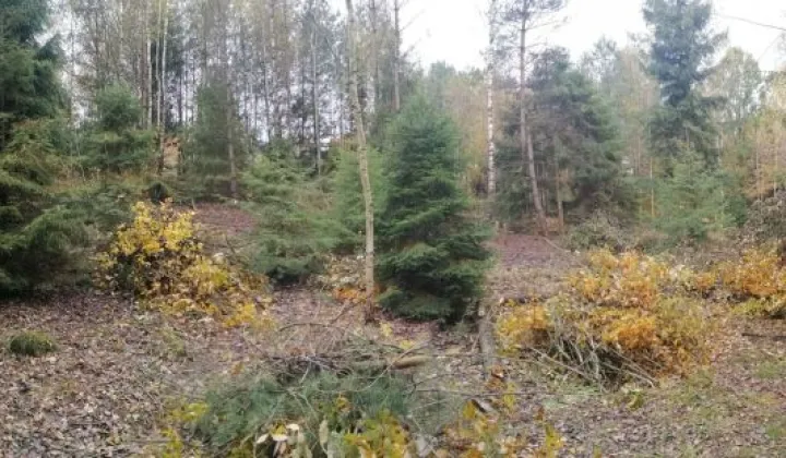 Działka budowlana Gołubie, ul. Jagodowa