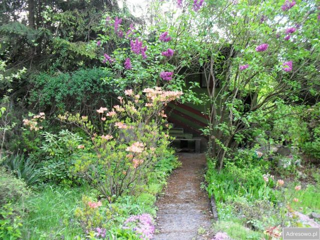 Działka rekreacyjna Częstochowa Błeszno, ul. Bór. Zdjęcie 1