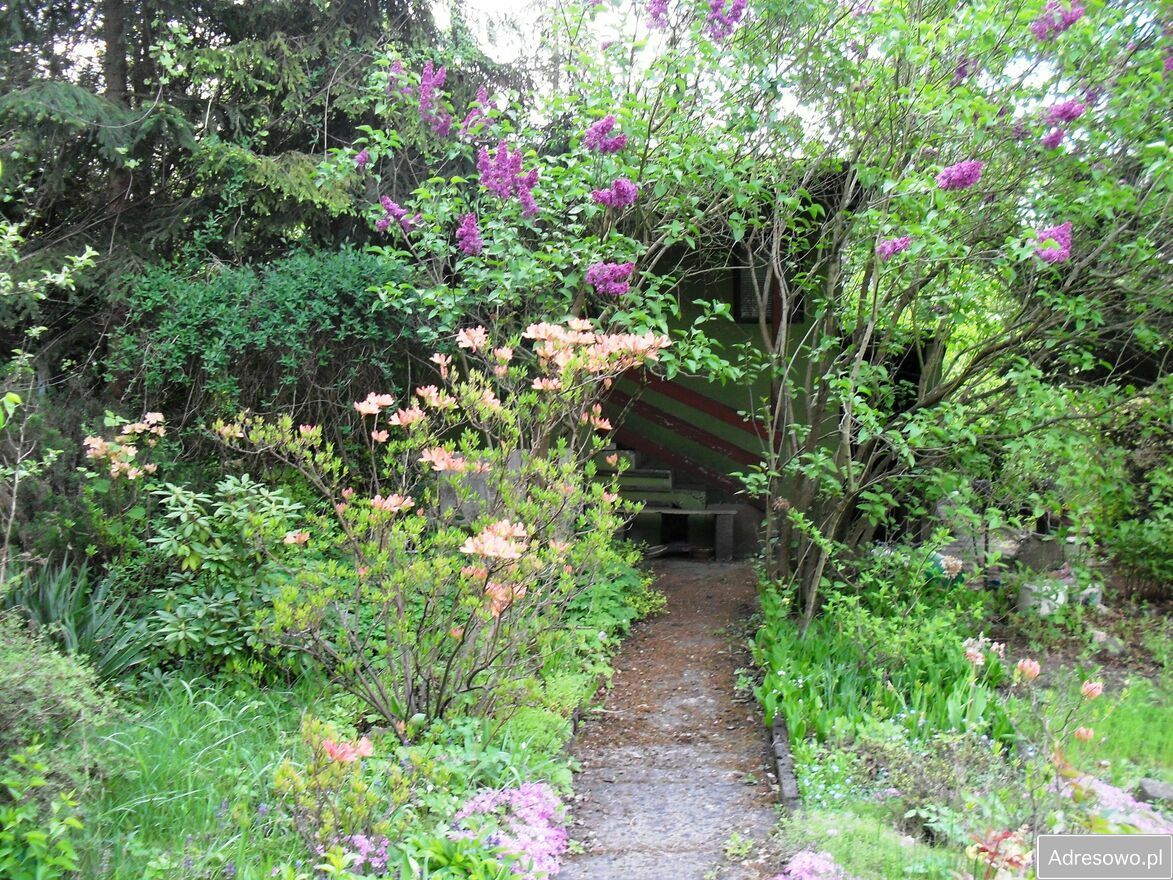 Działka rekreacyjna Częstochowa Błeszno, ul. Bór