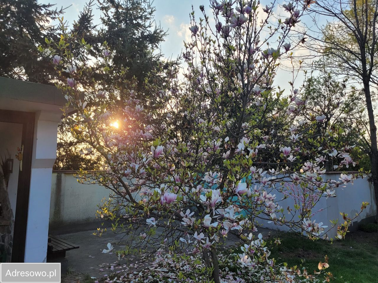 dom wolnostojący Kłonówek. Zdjęcie 15