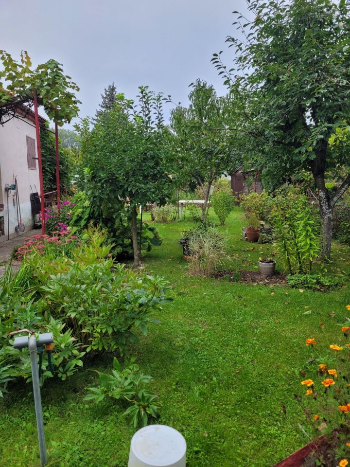 Działka rod Wrocław, ul. Strachowicka. Zdjęcie 3