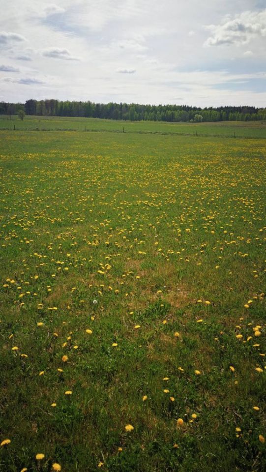 Działka budowlana Wólka