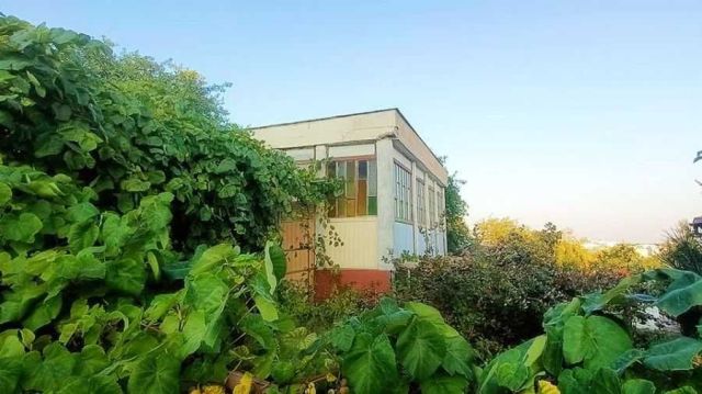 Działka rekreacyjna Gdańsk Jasień. Zdjęcie 1