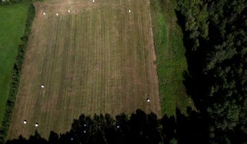 Działka siedliskowa Karwieńskie Błoto Drugie