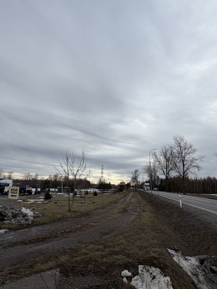 Działka inwestycyjna Kaliska Kościerskie. Zdjęcie 6