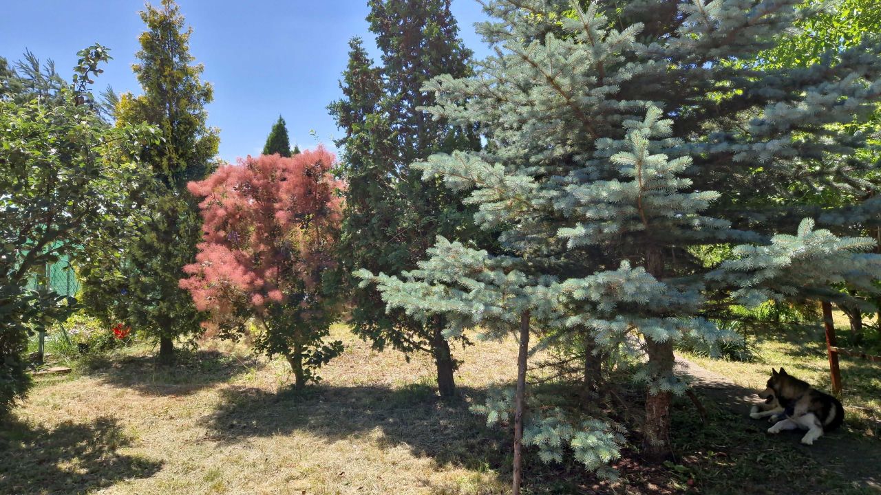 Działka rod Mielec. Zdjęcie 8