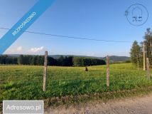 Działka budowlana Huta Gogołowska. Zdjęcie 1