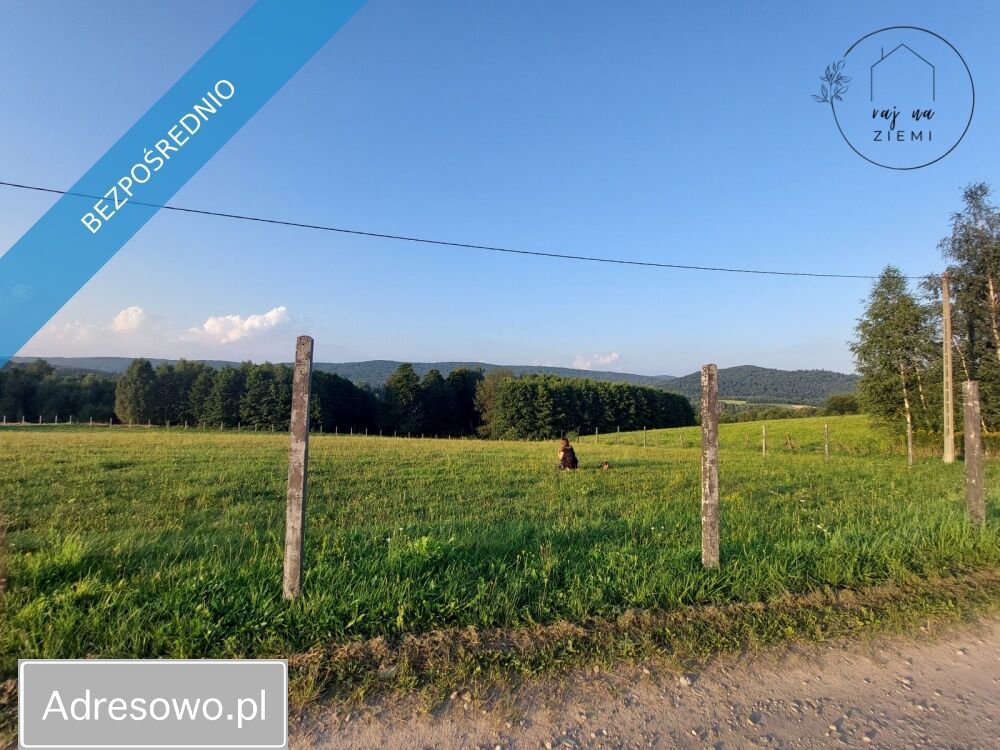 Działka budowlana Huta Gogołowska. Zdjęcie 2
