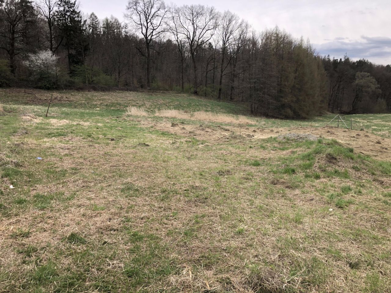 Działka budowlana Wiślica, ul. Willowa. Zdjęcie 5