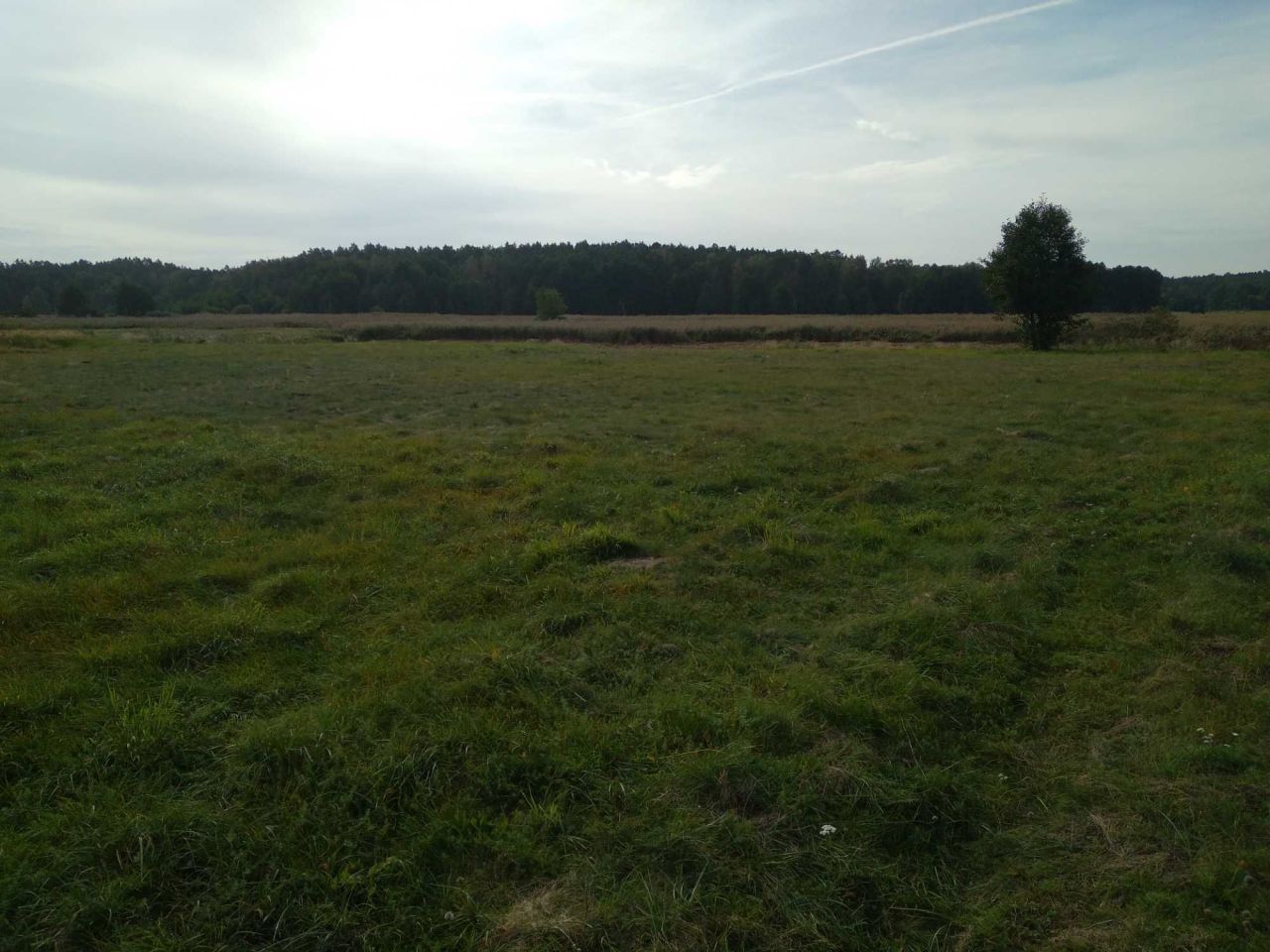 Działka rolna Jaryszewo. Zdjęcie 3