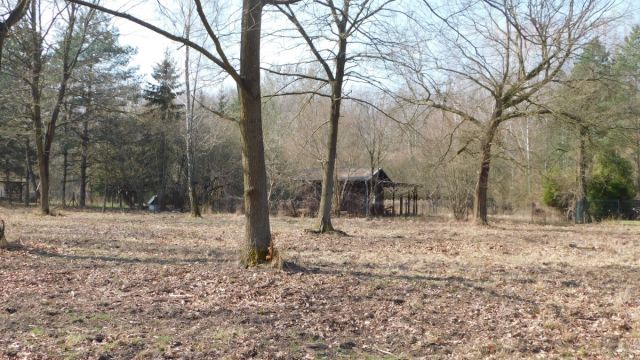 Działka budowlana Chojnów, ul. Graniczka. Zdjęcie 9