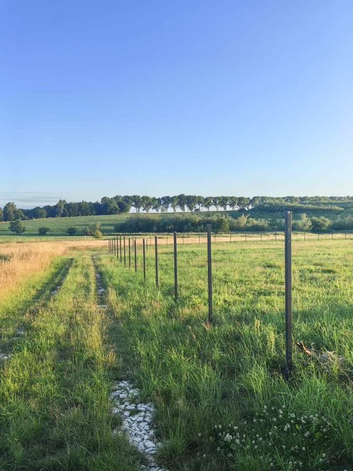 Działka rolna Gniewino, ul. Mostowa. Zdjęcie 4