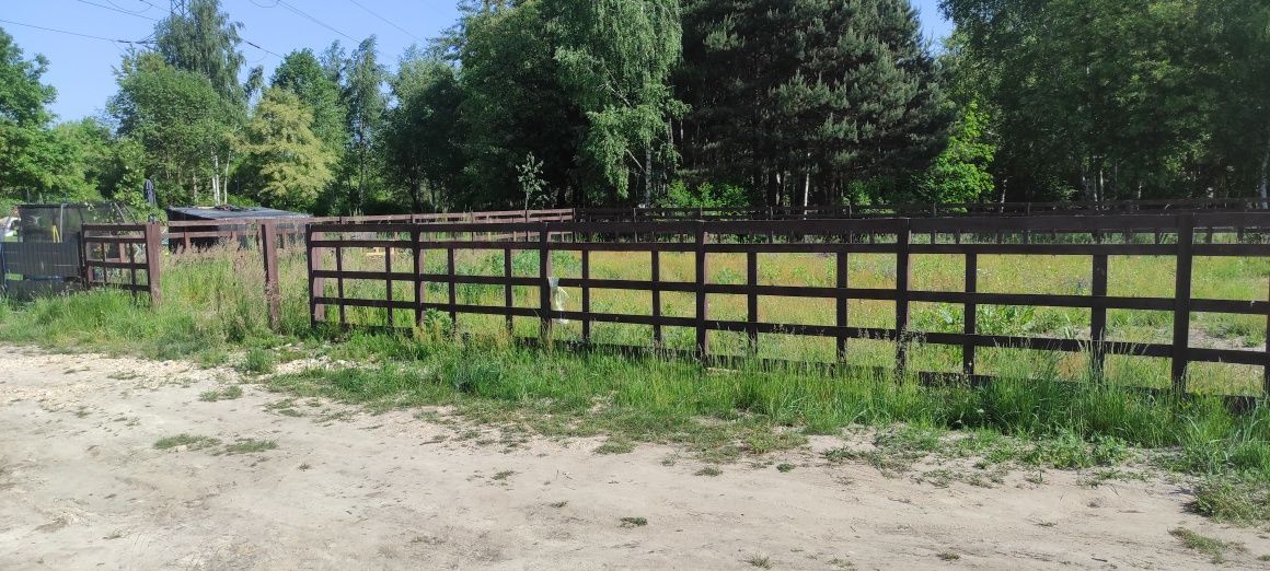 Działka rod Chełm Śląski. Zdjęcie 7