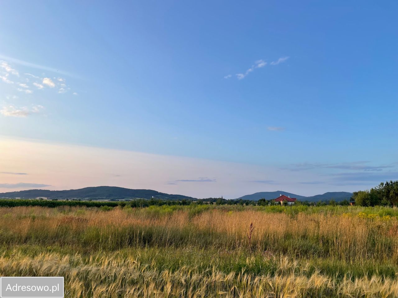 Działka rolno-budowlana Włóki. Zdjęcie 5