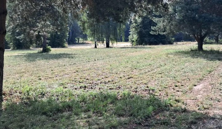 Działka budowlana Żurawia