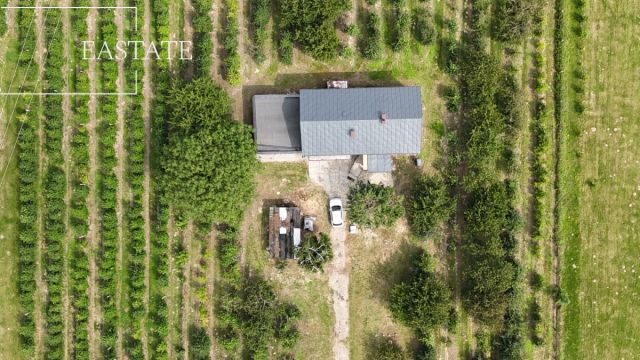 dom wolnostojący, 4 pokoje Świdno. Zdjęcie 24