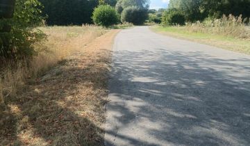 Działka rolna Siedliszcze, ul. Lipowa