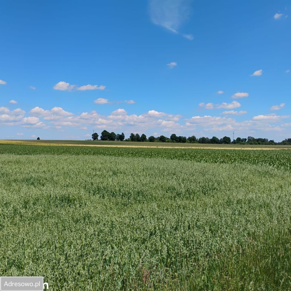 Działka budowlana Silniczka, ul. Zielona. Zdjęcie 9