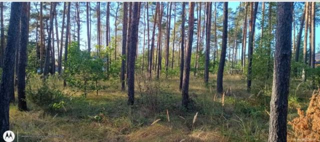 Działka budowlana Suków Papiernia, Suków. Zdjęcie 1