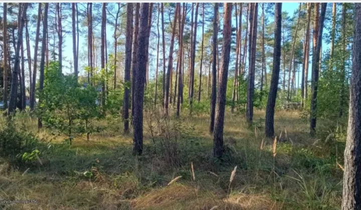 Działka budowlana Suków Papiernia, Suków