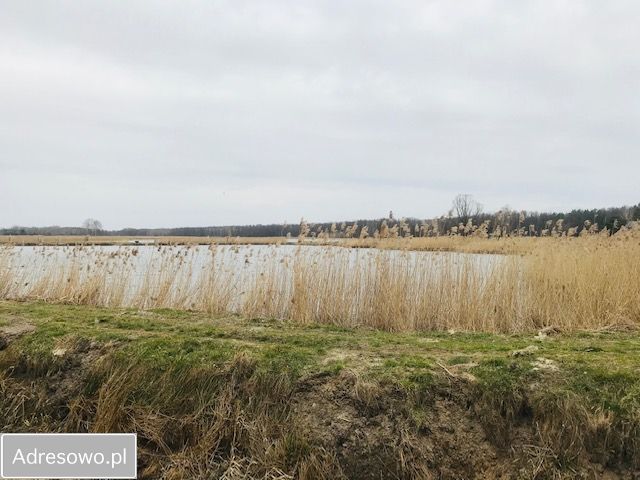 Działka siedliskowa Grzegorzewice. Zdjęcie 6