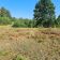 Działka rolno-budowlana Bobrownik. Zdjęcie 5