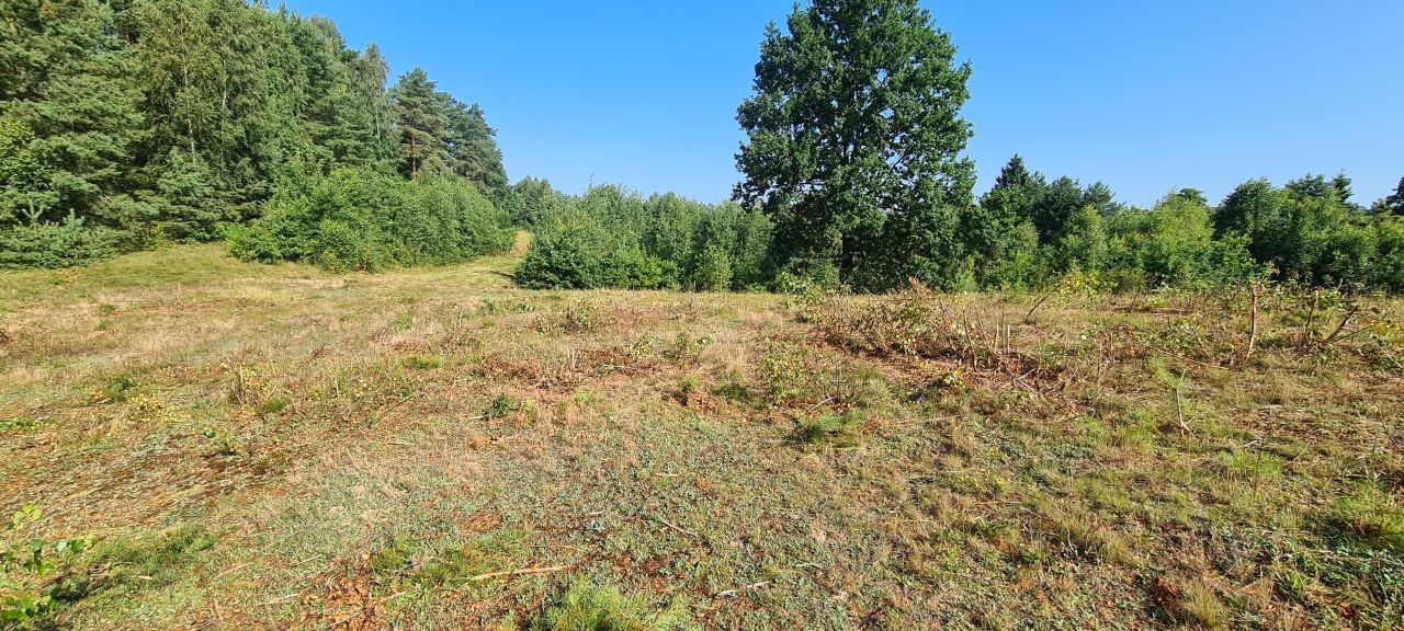 Działka rolno-budowlana Bobrownik. Zdjęcie 5