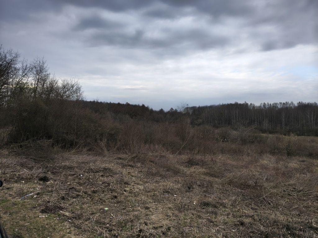 Działka budowlana Brzękowice-Wał. Zdjęcie 6