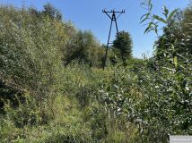 Działka rolna Trawniki-Kolonia. Zdjęcie 2