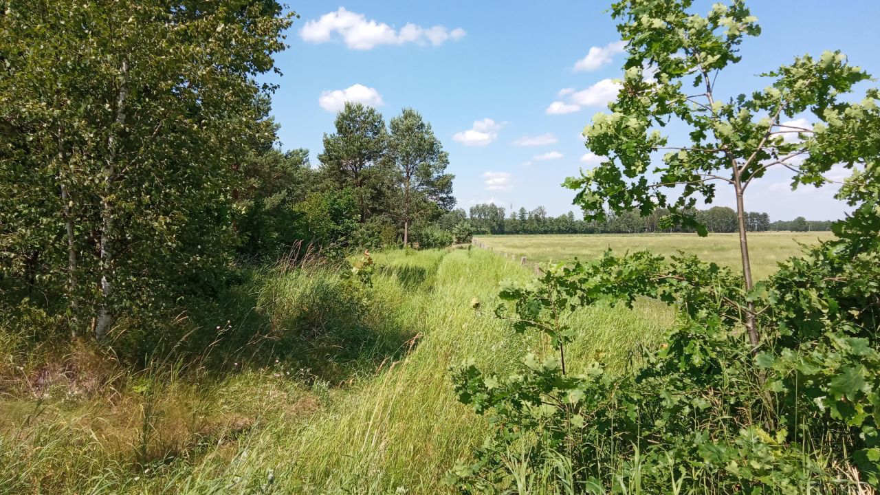 Działka rolno-budowlana Jesionowiec. Zdjęcie 4