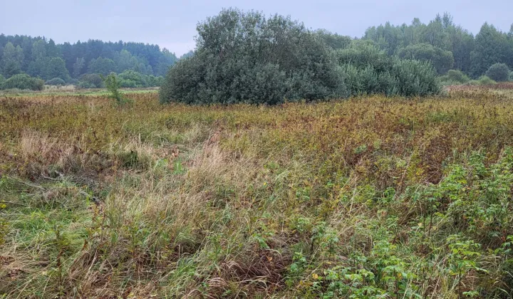 Działka rolna Sorbin