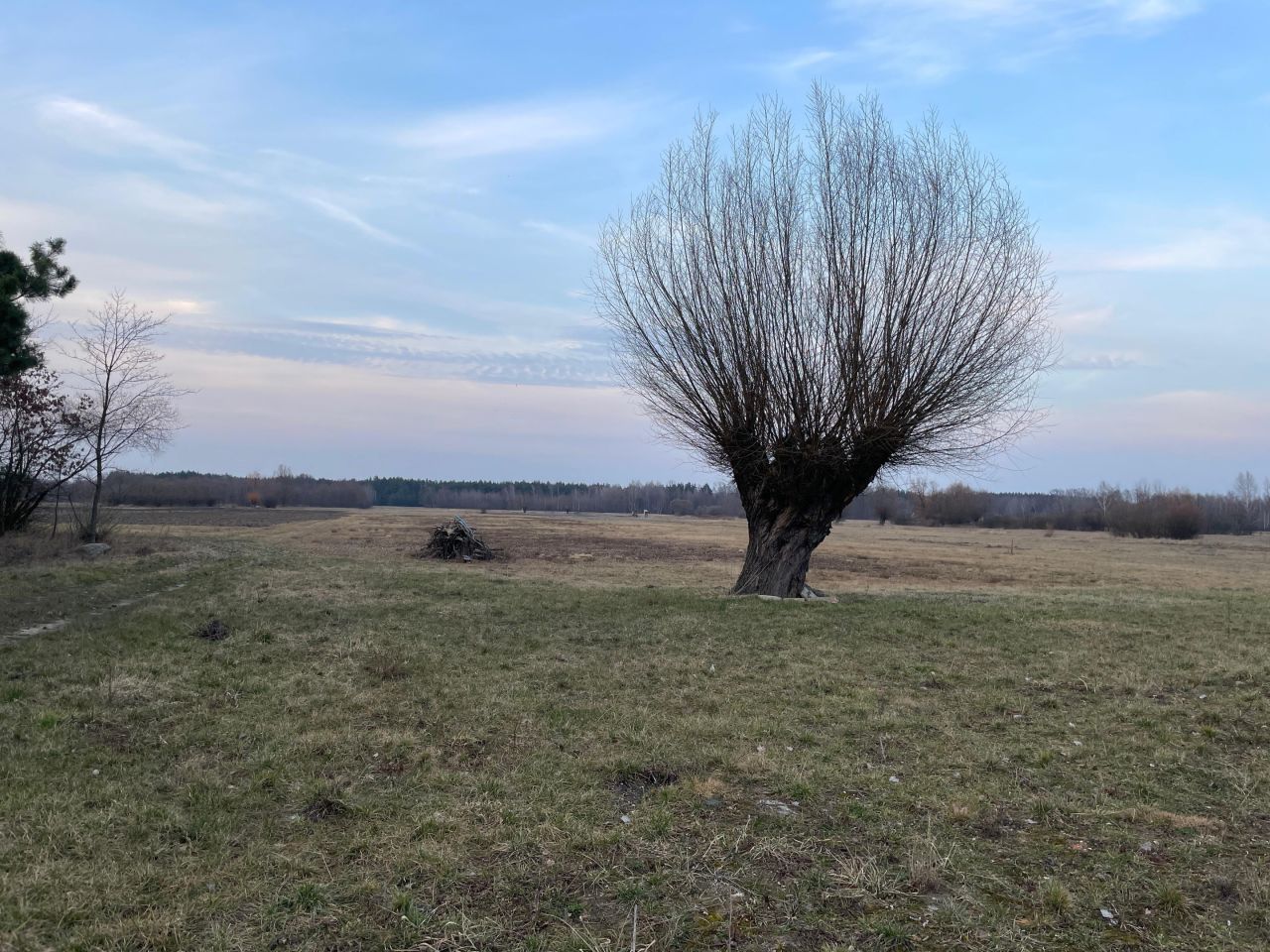 Działka budowlana Nowe Ręczaje. Zdjęcie 3