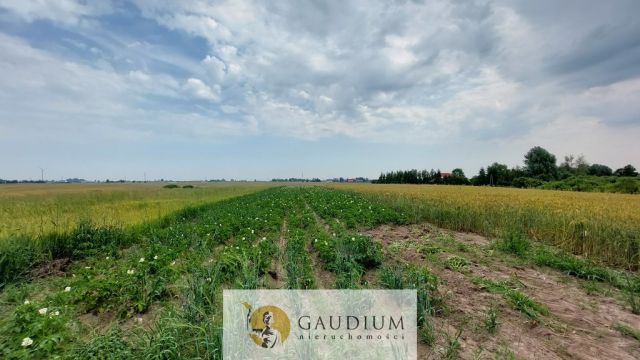 Działka inwestycyjna Sztum. Zdjęcie 5