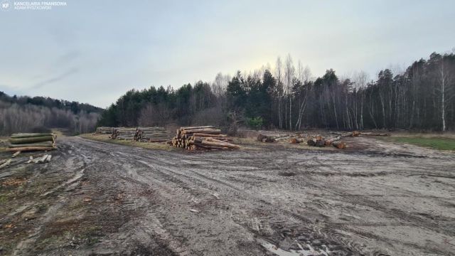 Działka leśna Bondyrz. Zdjęcie 8
