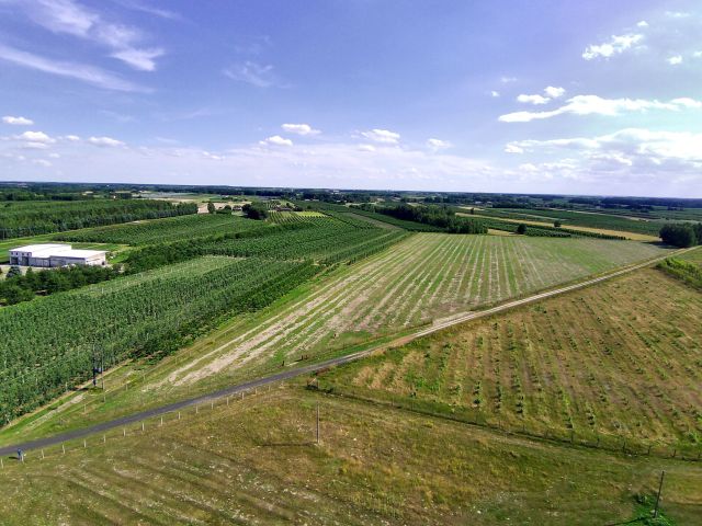 Działka budowlana Gośniewice. Zdjęcie 1
