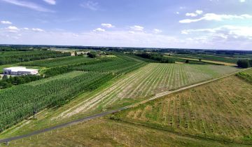 Działka budowlana Gośniewice